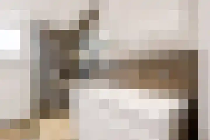 Scherpencamp 43 Houten thumbnail 44