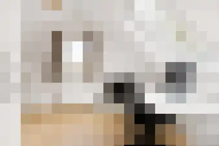 Scherpencamp 43 Houten thumbnail 55