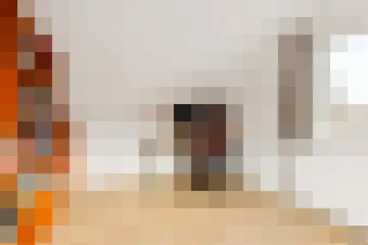 Scherpencamp 43 Houten thumbnail 56