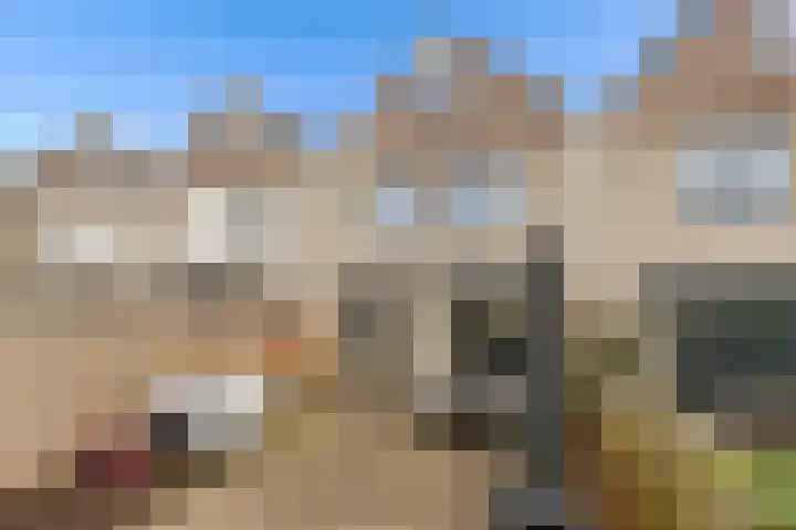 Scherpencamp 43 Houten thumbnail 59
