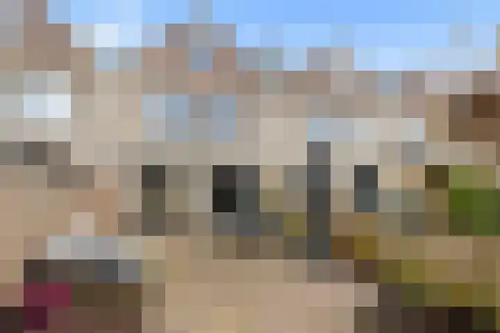 Scherpencamp 43 Houten thumbnail 60