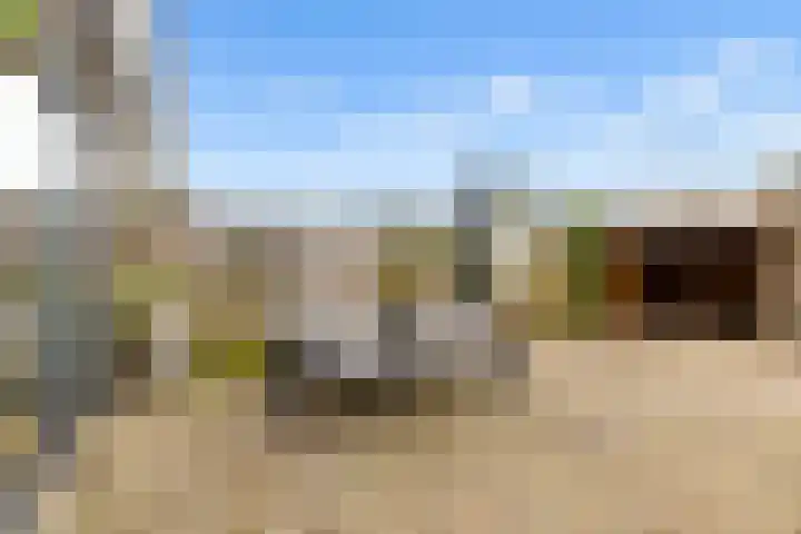 Scherpencamp 43 Houten thumbnail 61