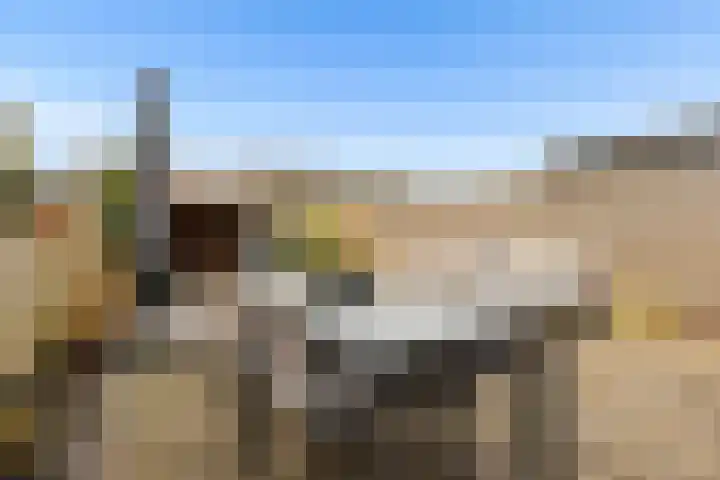 Scherpencamp 43 Houten thumbnail 62