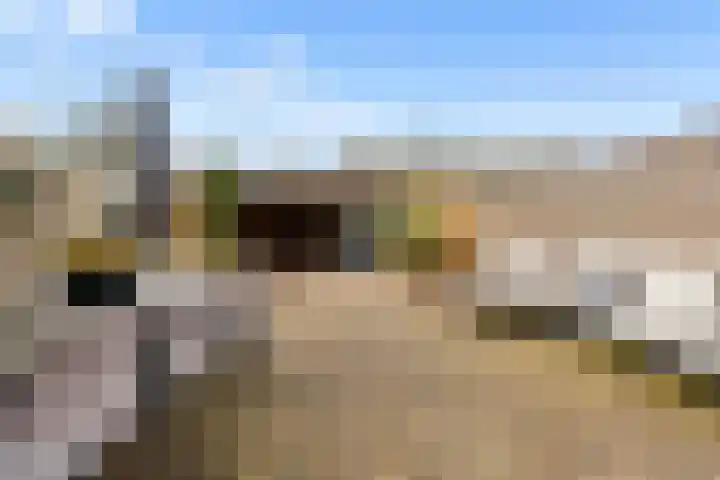 Scherpencamp 43 Houten thumbnail 64