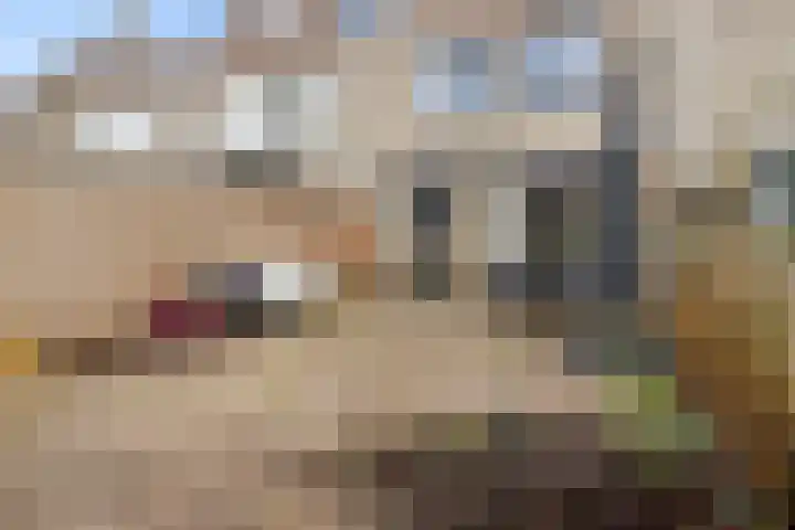 Scherpencamp 43 Houten thumbnail 65
