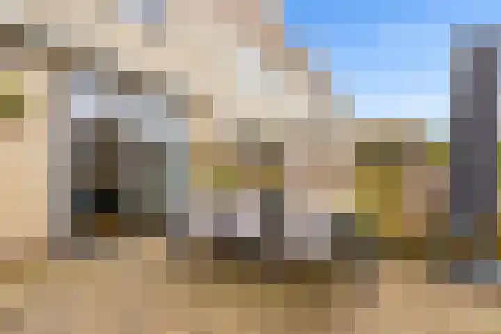 Scherpencamp 43 Houten thumbnail 66