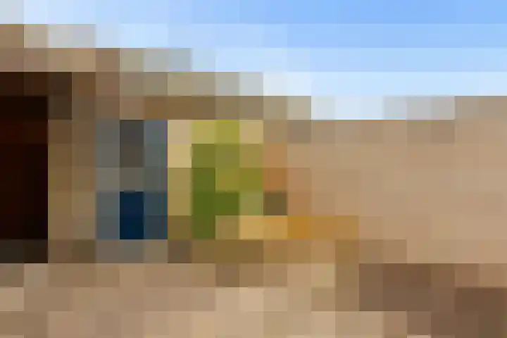 Scherpencamp 43 Houten thumbnail 68