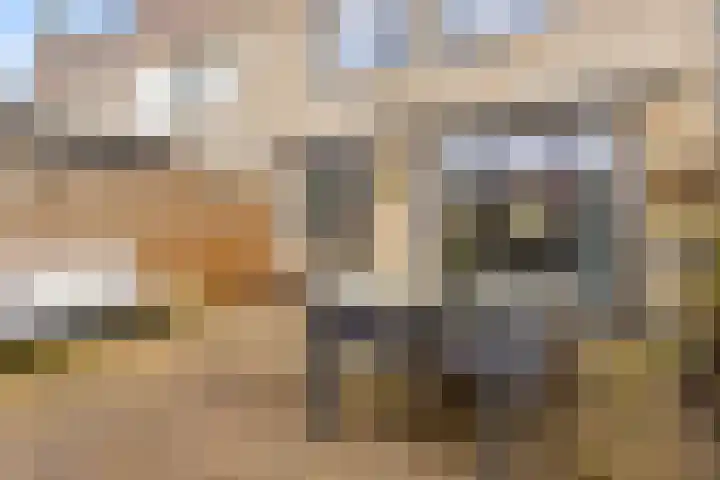 Scherpencamp 43 Houten thumbnail 69