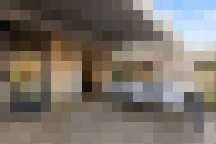 Scherpencamp 43 Houten thumbnail 73