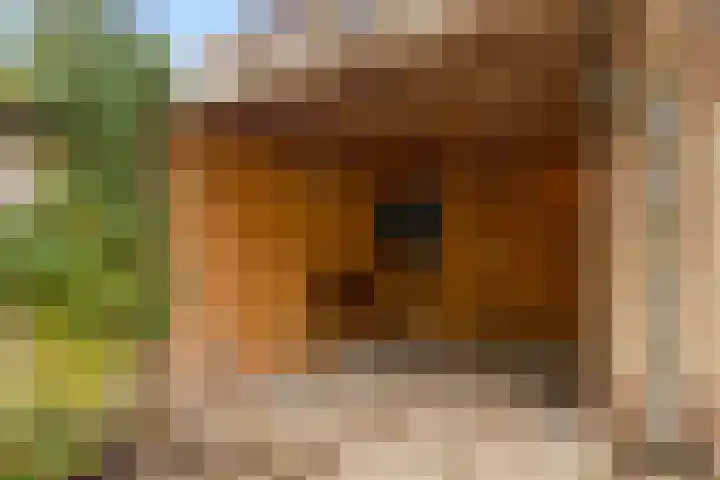Scherpencamp 43 Houten thumbnail 74