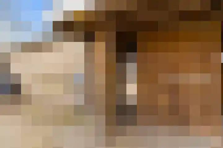 Scherpencamp 43 Houten thumbnail 75