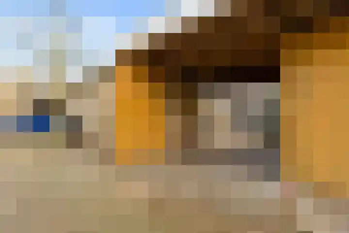 Scherpencamp 43 Houten thumbnail 77
