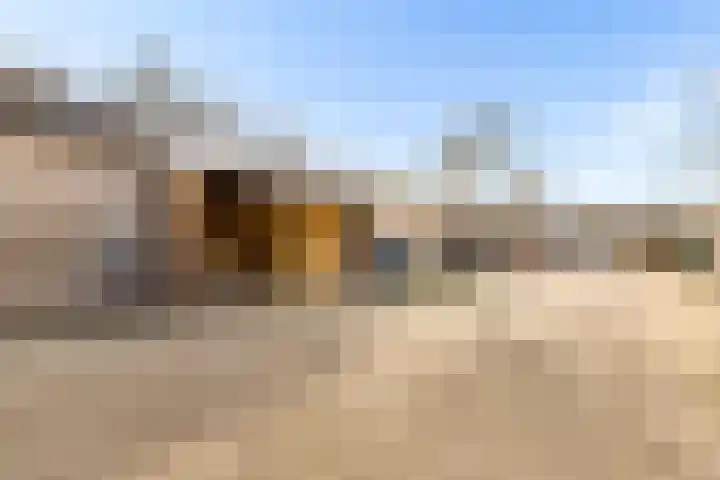 Scherpencamp 43 Houten thumbnail 78