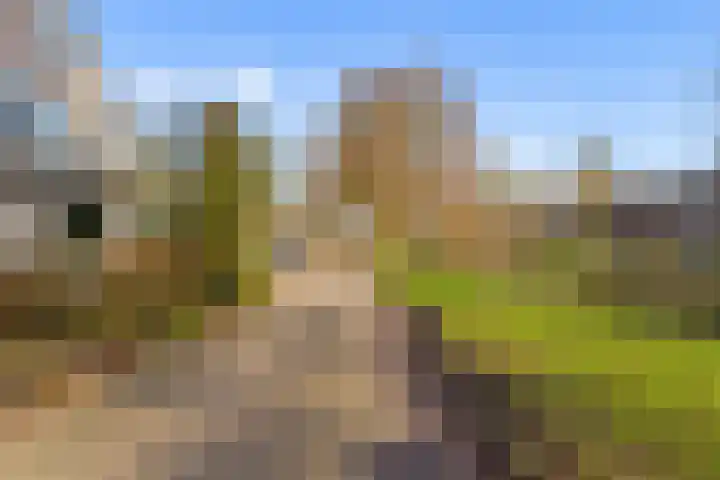 Scherpencamp 43 Houten thumbnail 79
