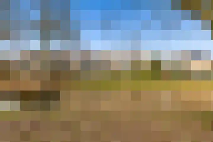 Scherpencamp 43 Houten thumbnail 80