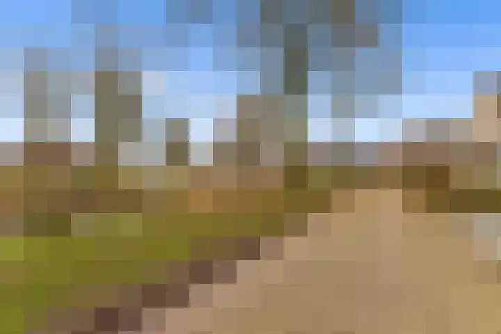 Scherpencamp 43 Houten thumbnail 82