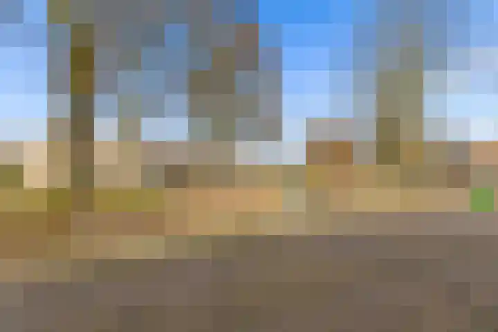 Scherpencamp 43 Houten thumbnail 83