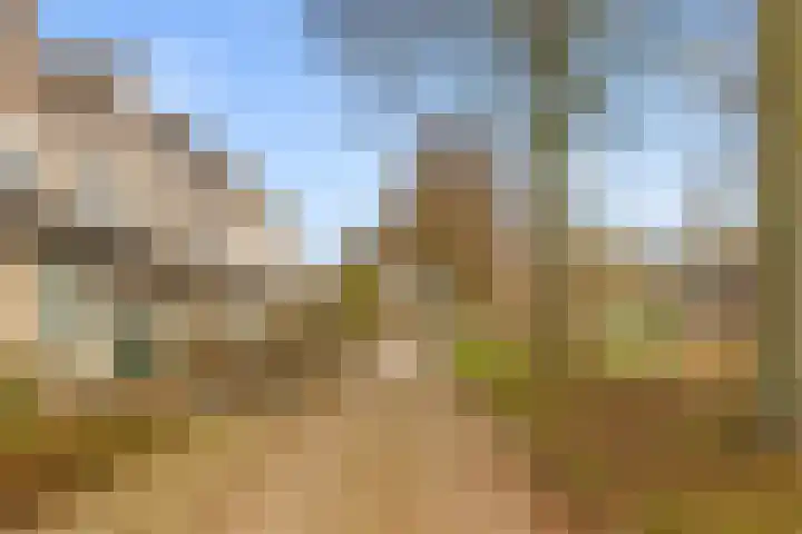 Scherpencamp 43 Houten thumbnail 84