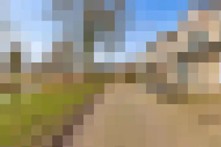 Scherpencamp 43 Houten thumbnail 85