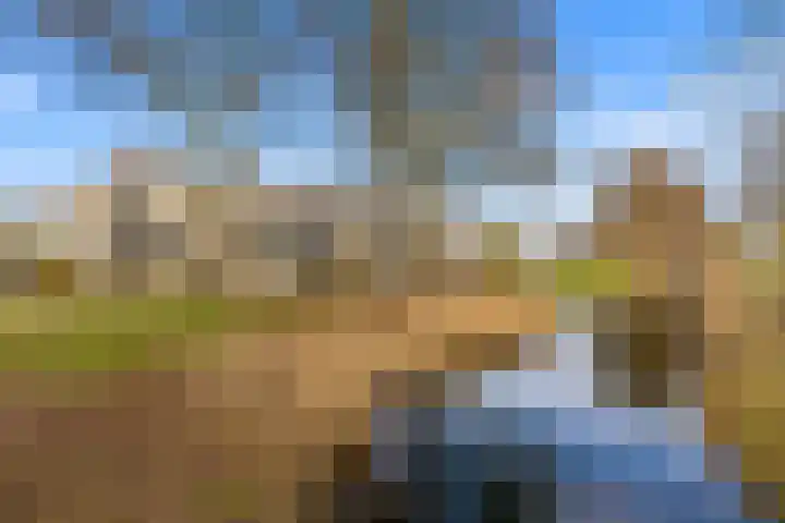 Scherpencamp 43 Houten thumbnail 86