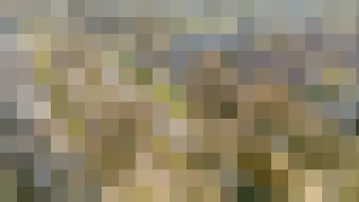Scherpencamp 43 Houten thumbnail 88