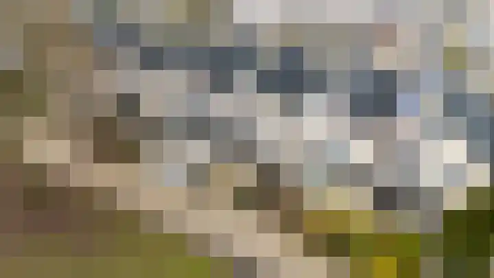 Scherpencamp 43 Houten thumbnail 89