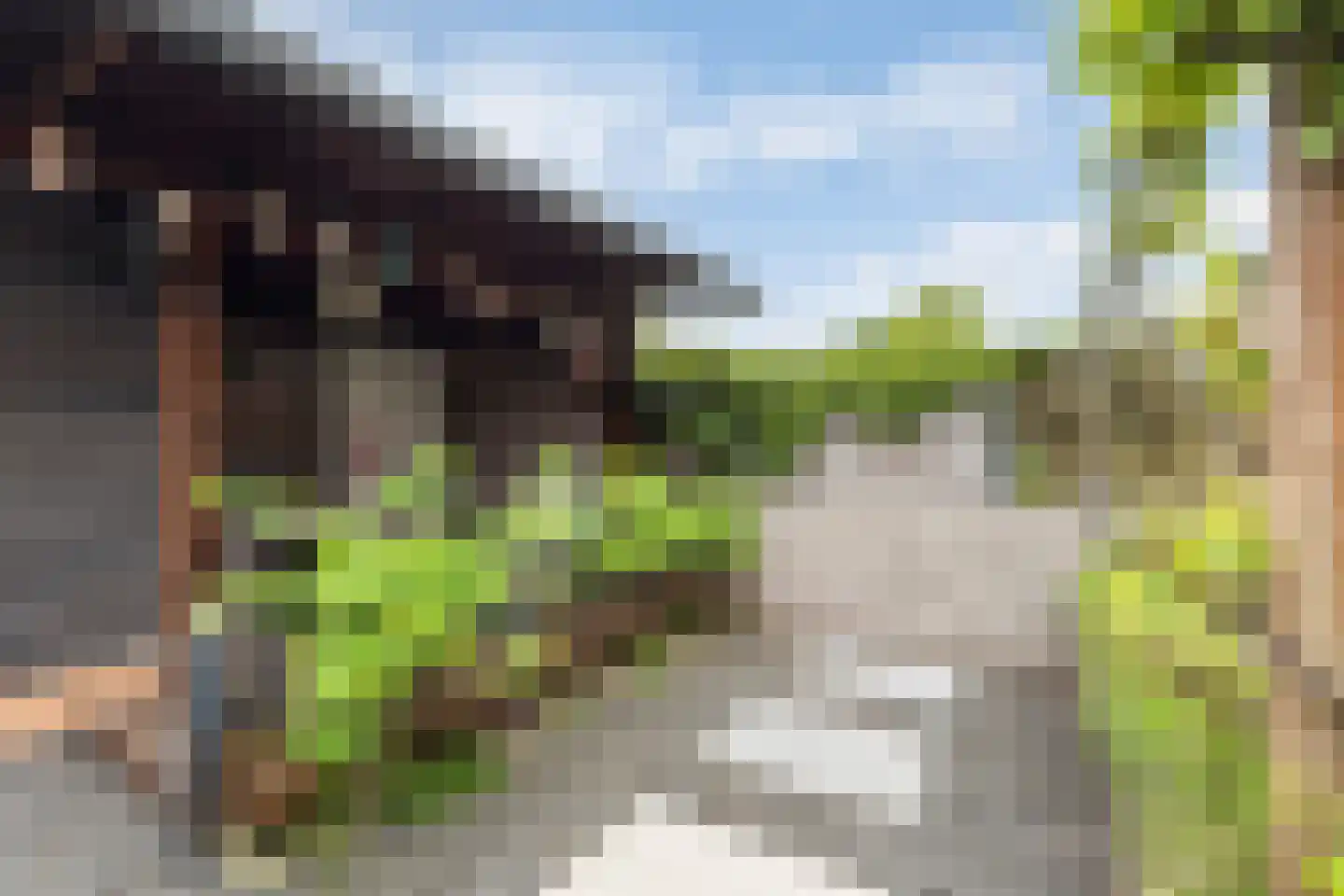 Scherpencamp 51 Nijkerk thumbnail 23