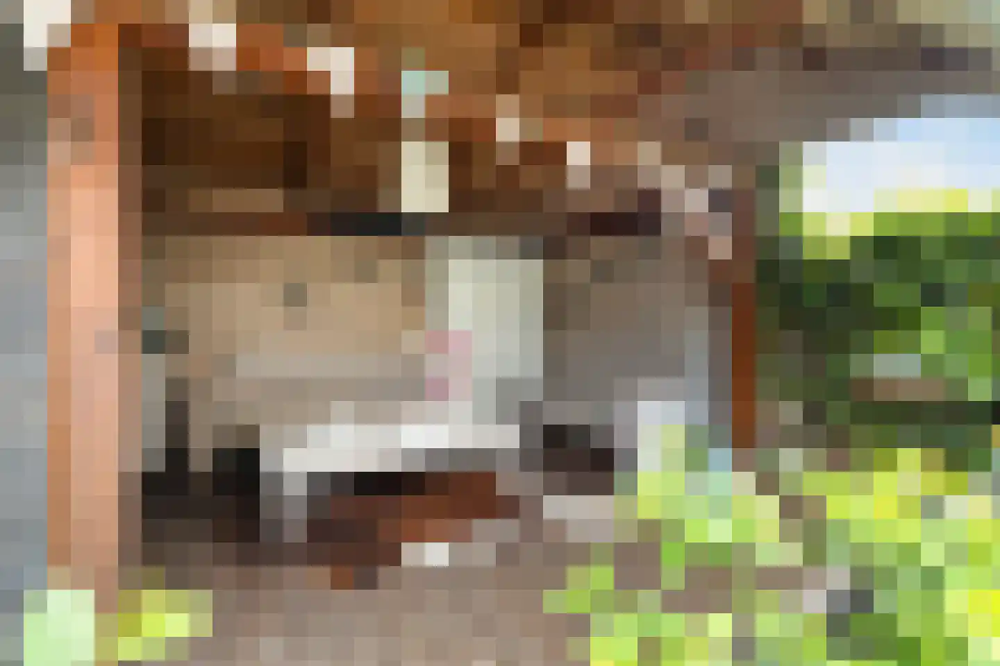 Scherpencamp 51 Nijkerk thumbnail 25