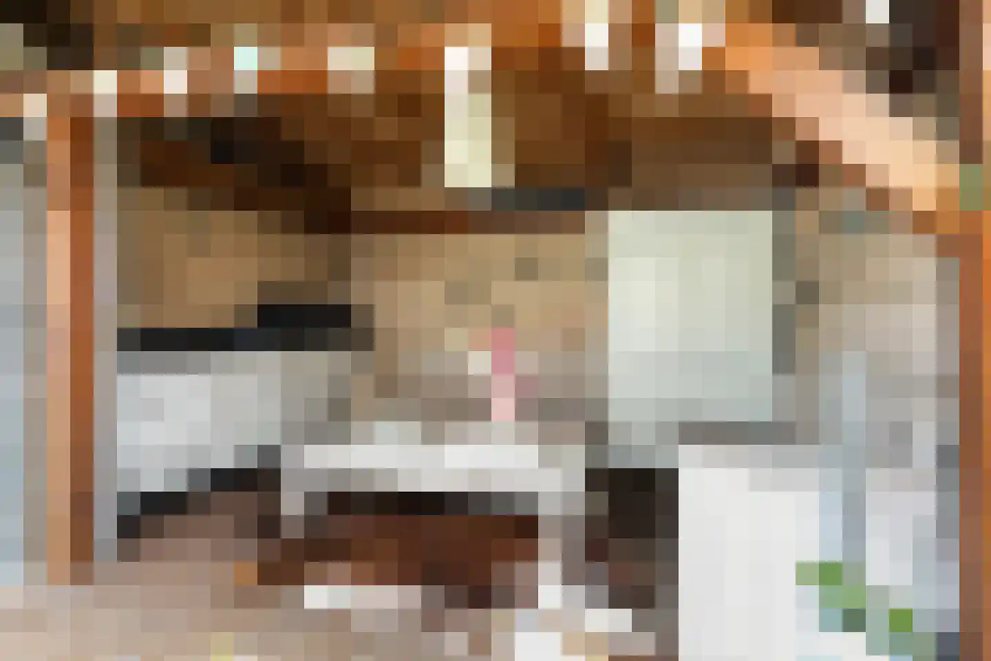 Scherpencamp 51 Nijkerk thumbnail 26