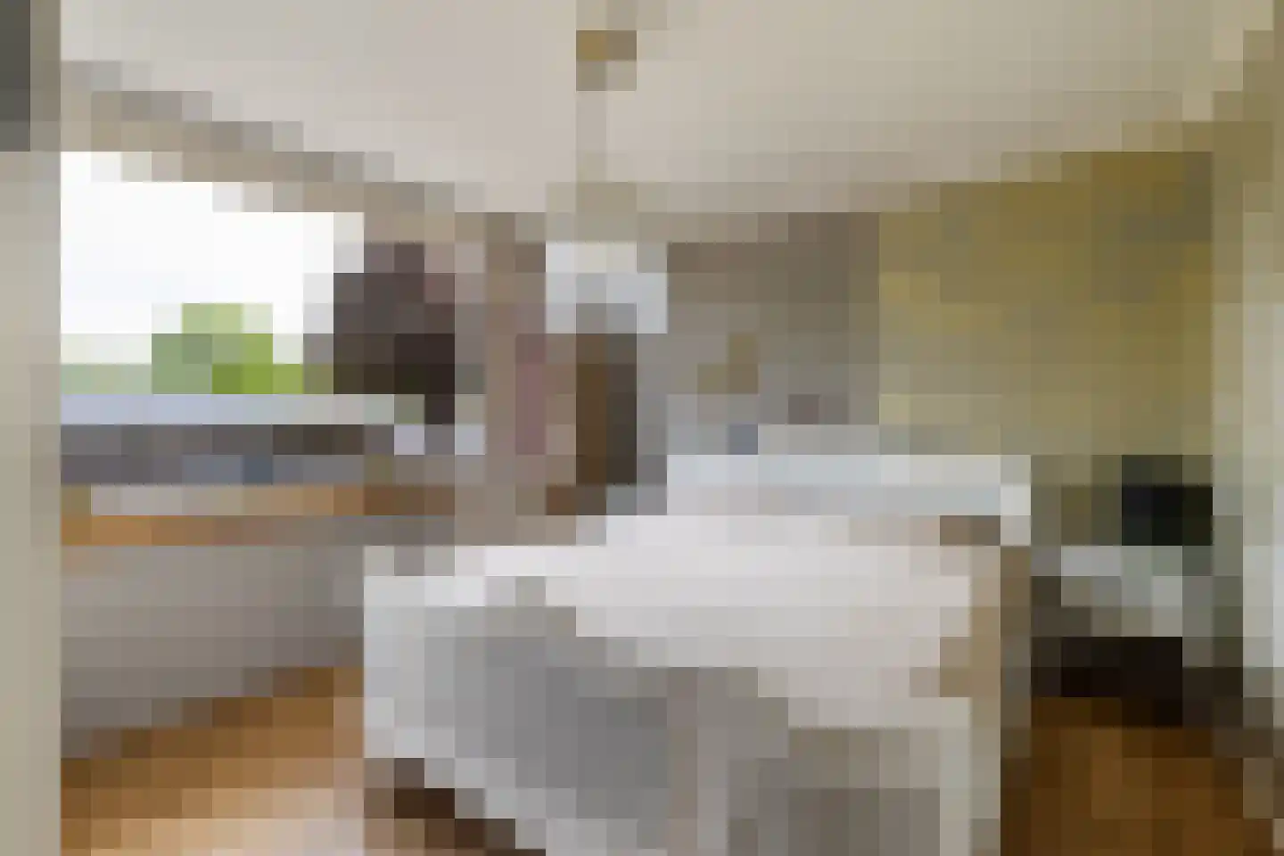 Scherpencamp 51 Nijkerk thumbnail 32