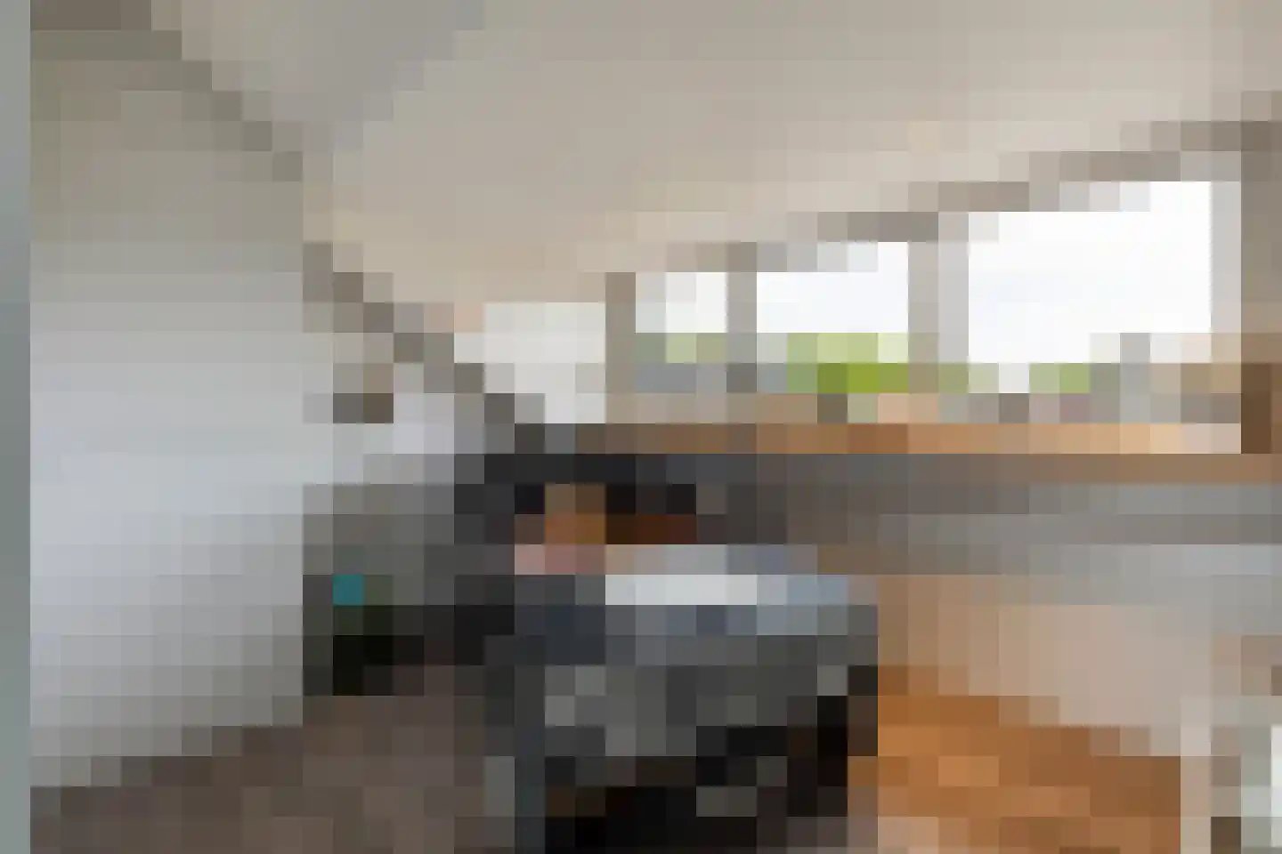 Scherpencamp 51 Nijkerk thumbnail 41