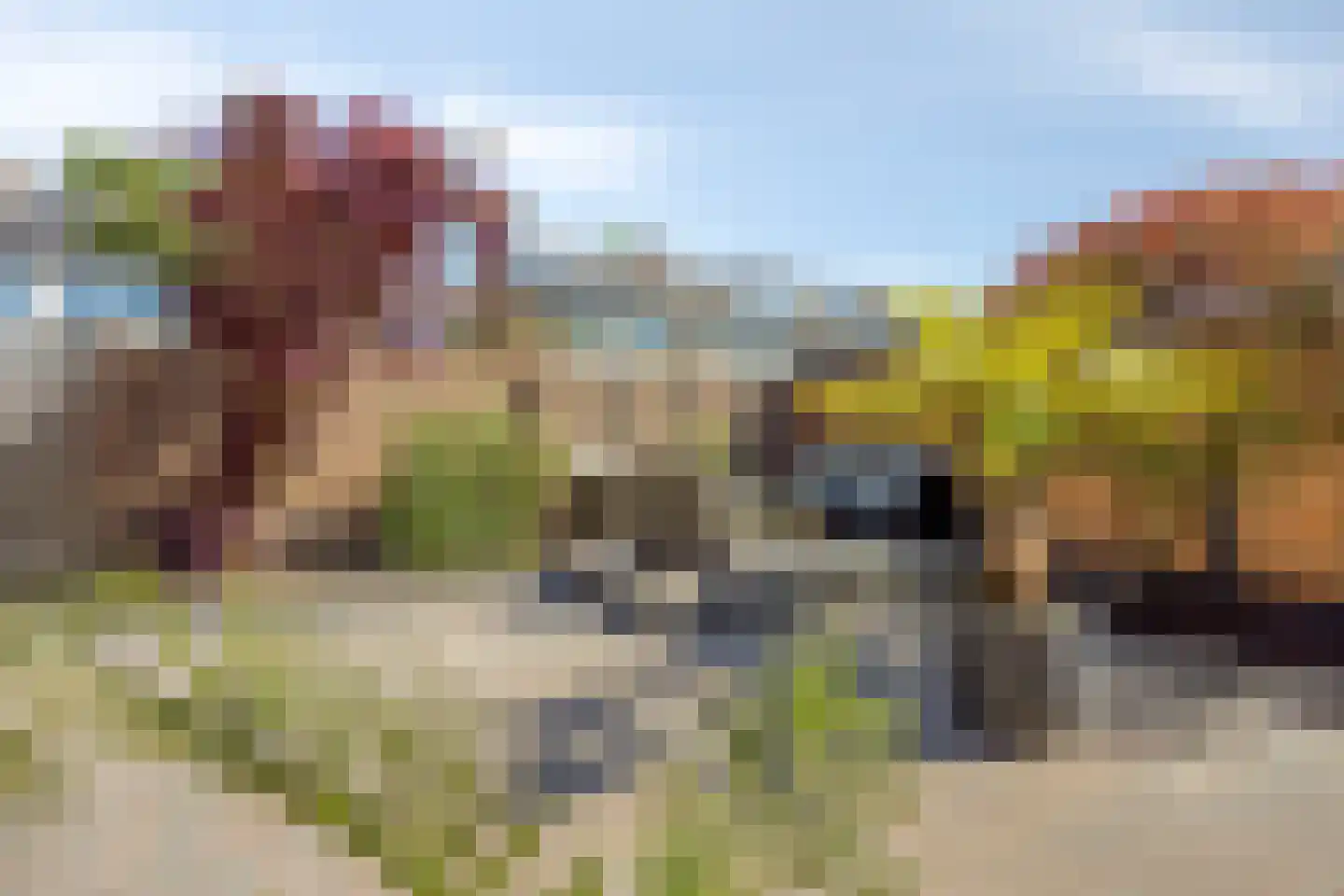 Scherpencamp 6 Nijkerk thumbnail 13