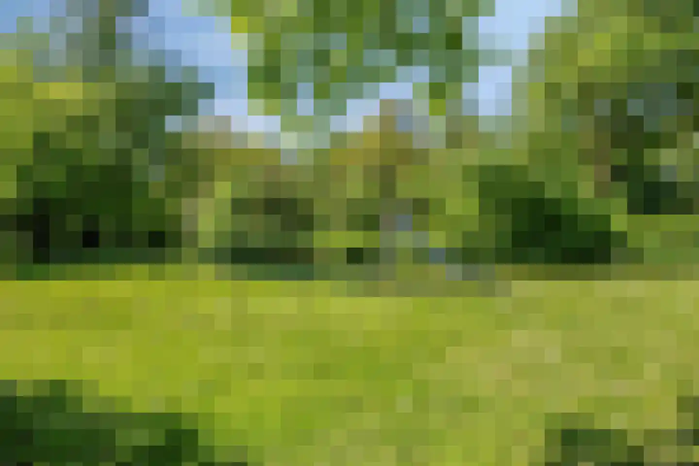 Scherpencamp 6 Nijkerk thumbnail 36