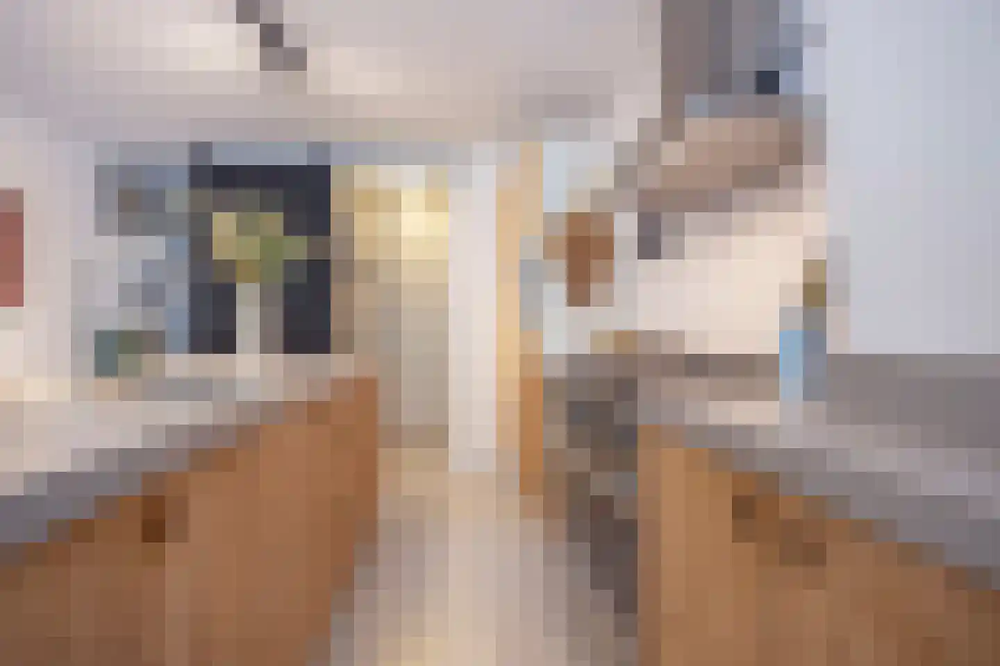 Scherpenheuvelstraat 15 Tilburg thumbnail 13