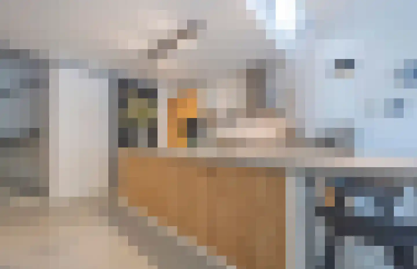 Scherpenheuvelstraat 15 Tilburg thumbnail 14