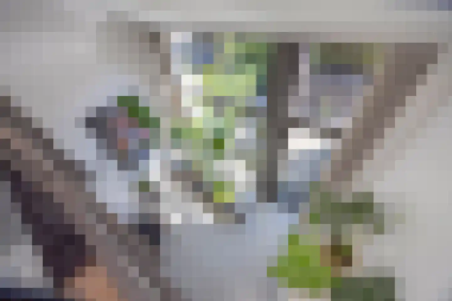 Scherpenheuvelstraat 15 Tilburg thumbnail 26