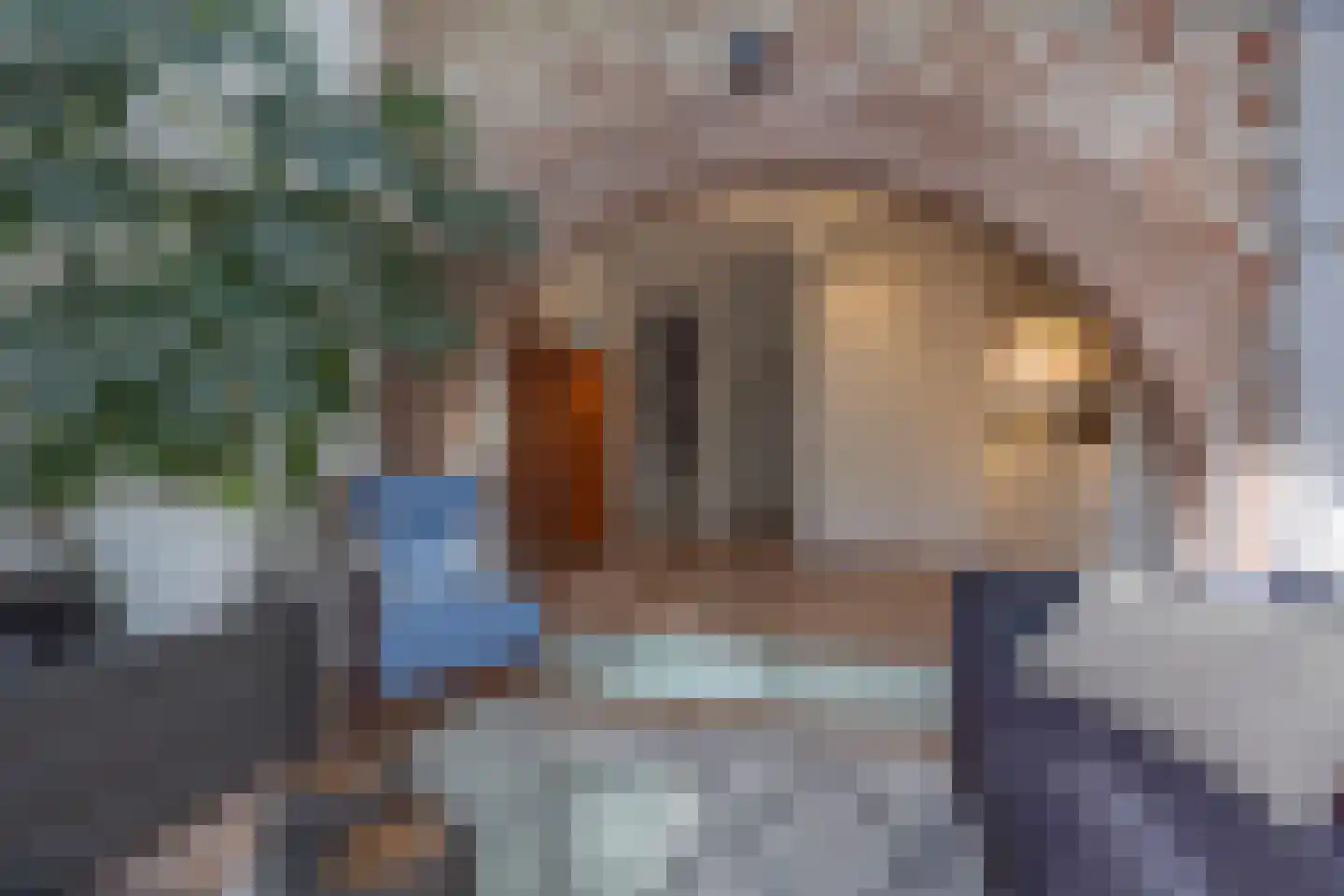 Scherpenheuvelstraat 15 Tilburg thumbnail 28