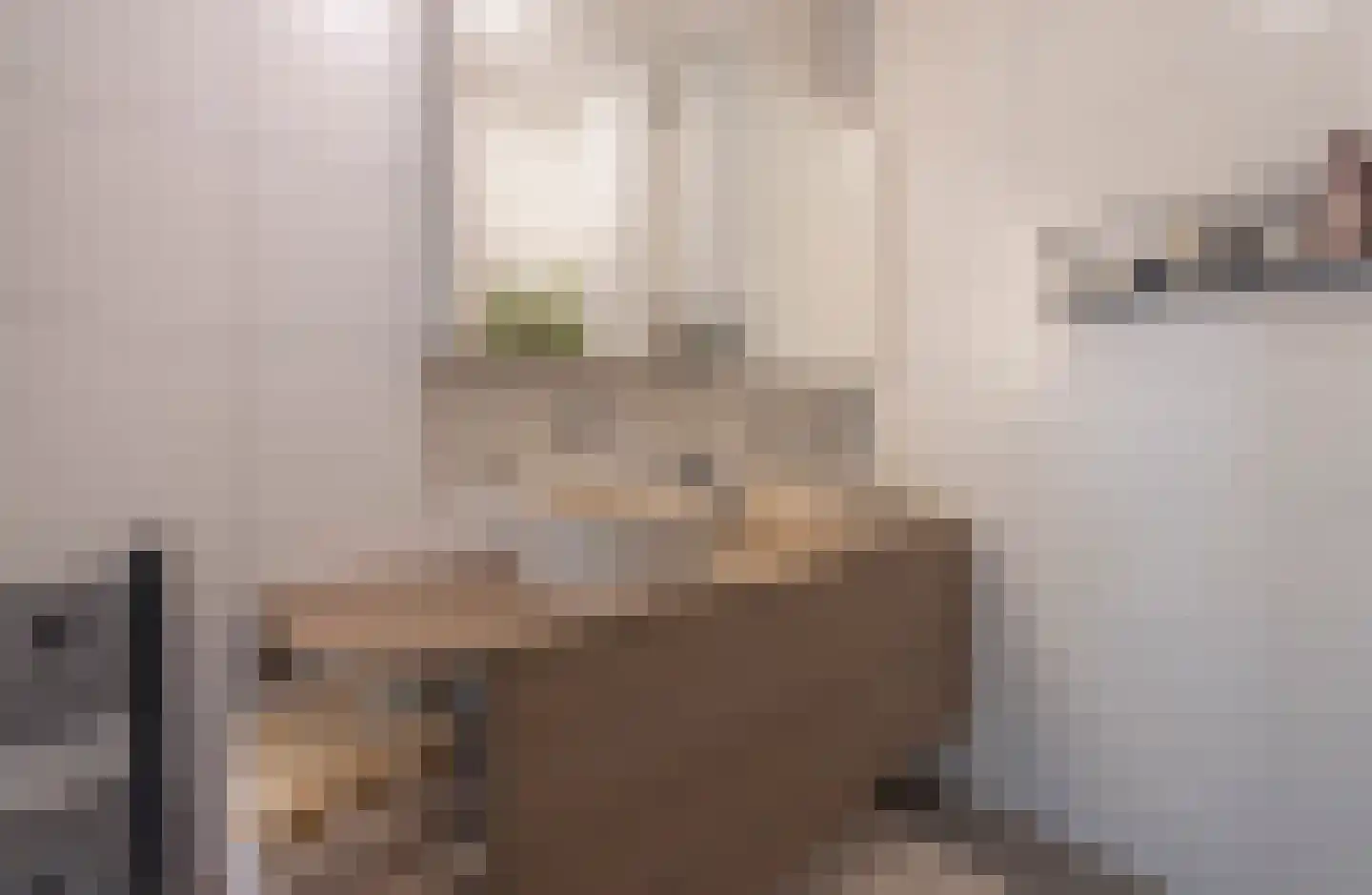 Scherpenheuvelstraat 15 Tilburg thumbnail 31