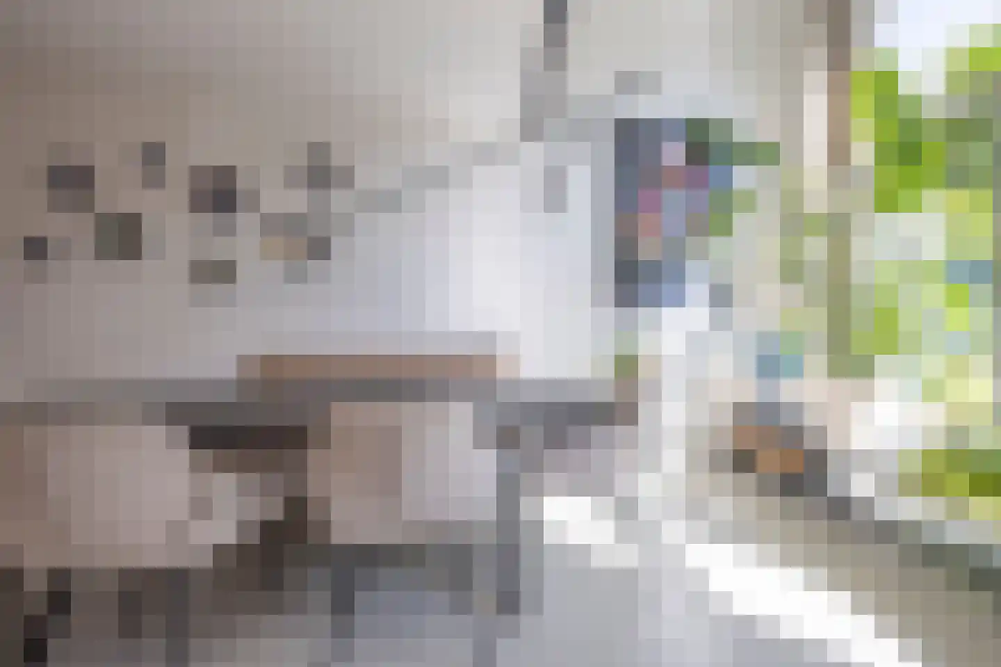 Scherpenheuvelstraat 15 Tilburg thumbnail 6