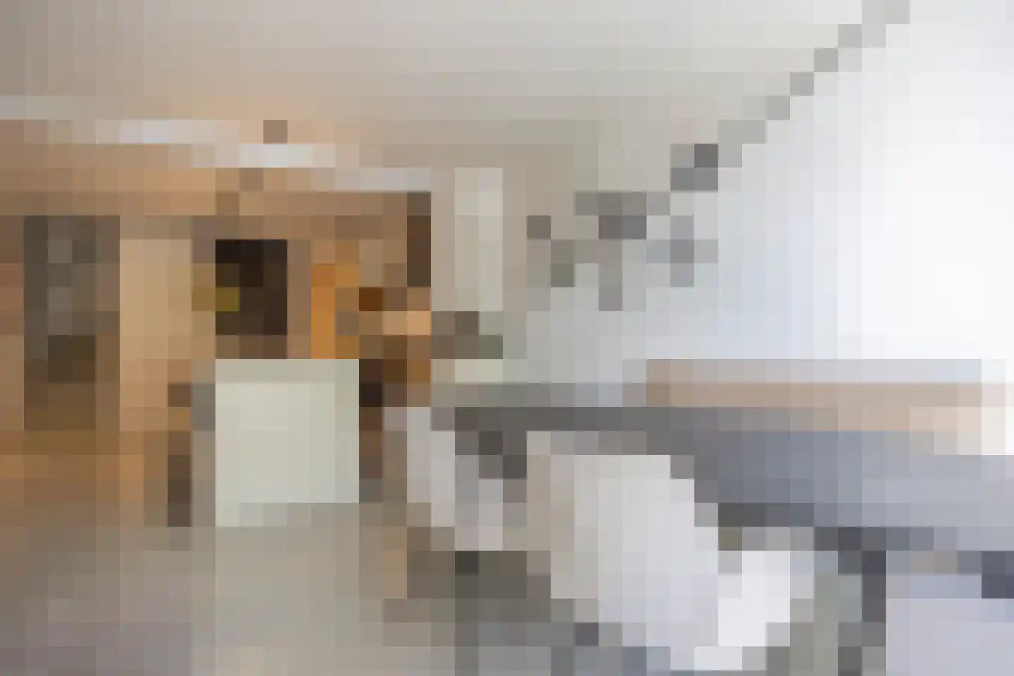 Scherpenheuvelstraat 15 Tilburg thumbnail 9
