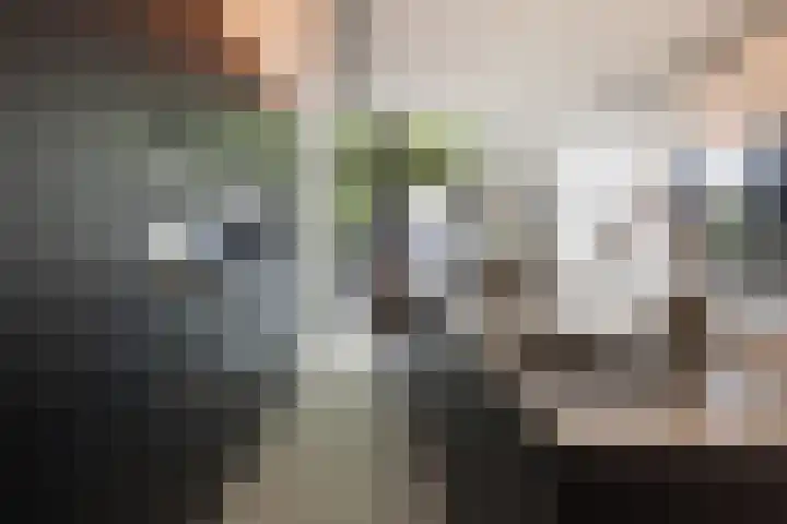 Scherpenheuvelstraat 35 Tilburg thumbnail 11