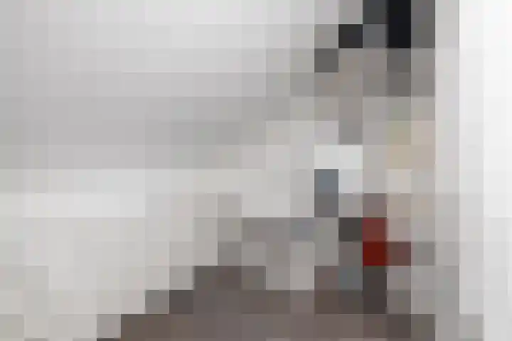 Scherpenheuvelstraat 35 Tilburg thumbnail 36