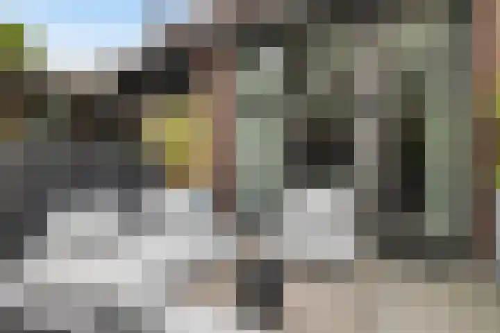 Scherpenheuvelstraat 35 Tilburg thumbnail 39