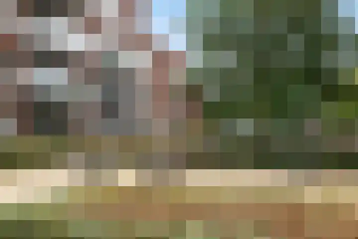Scherpenheuvelstraat 35 Tilburg thumbnail 51