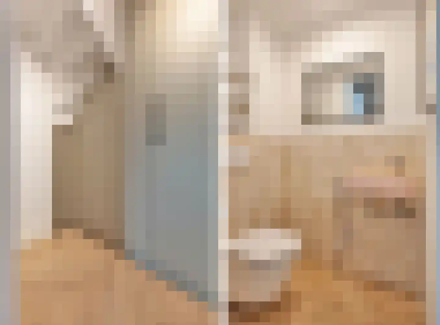 Scherpenheuvelstraat 37 Tilburg thumbnail 27