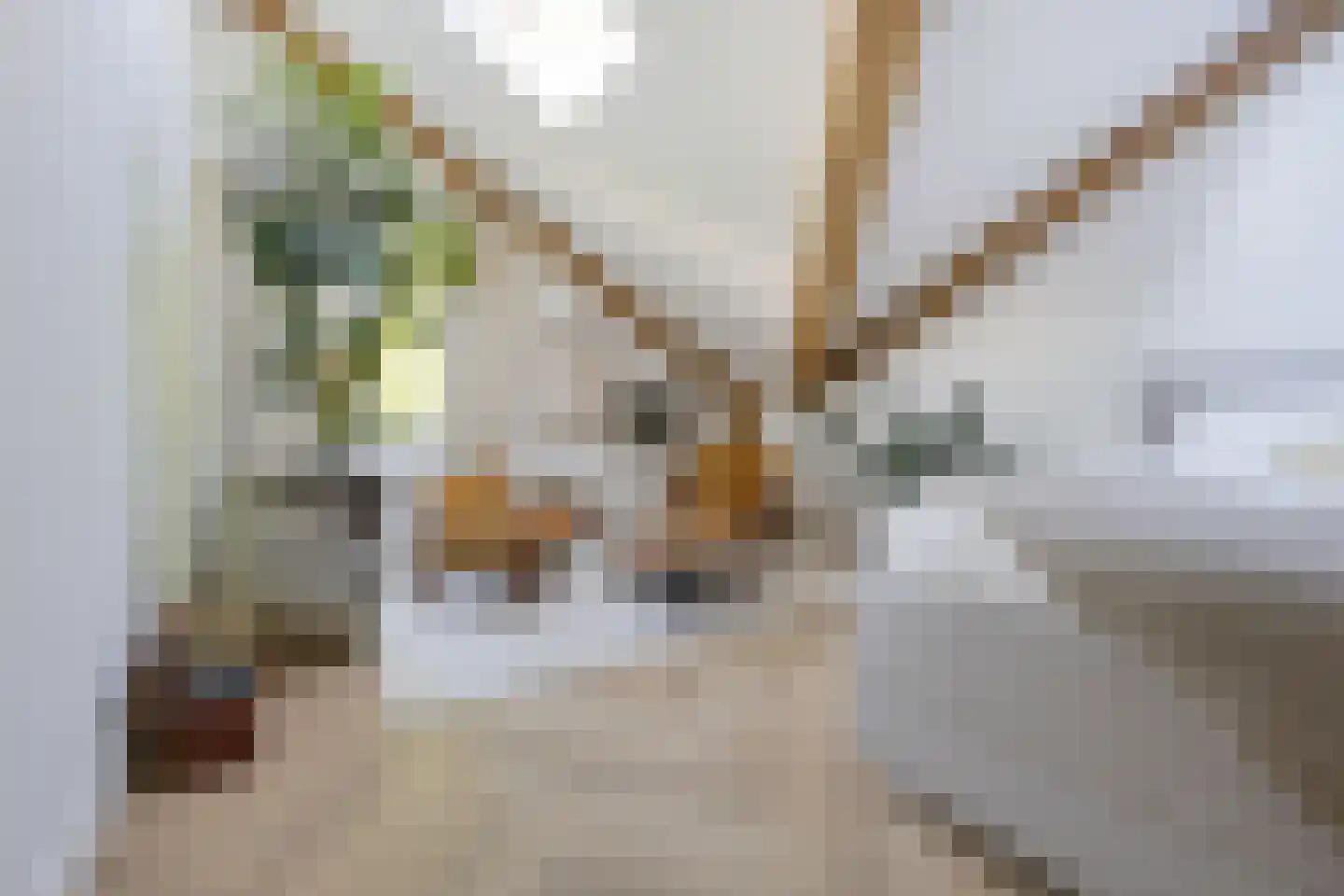 Scherpenheuvelstraat 37 Tilburg thumbnail 34