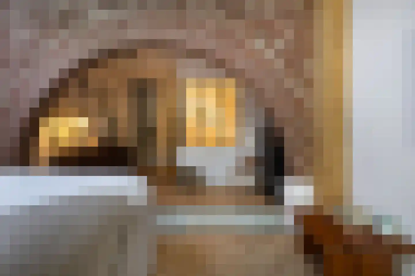 Scherpenheuvelstraat 37 Tilburg thumbnail 37