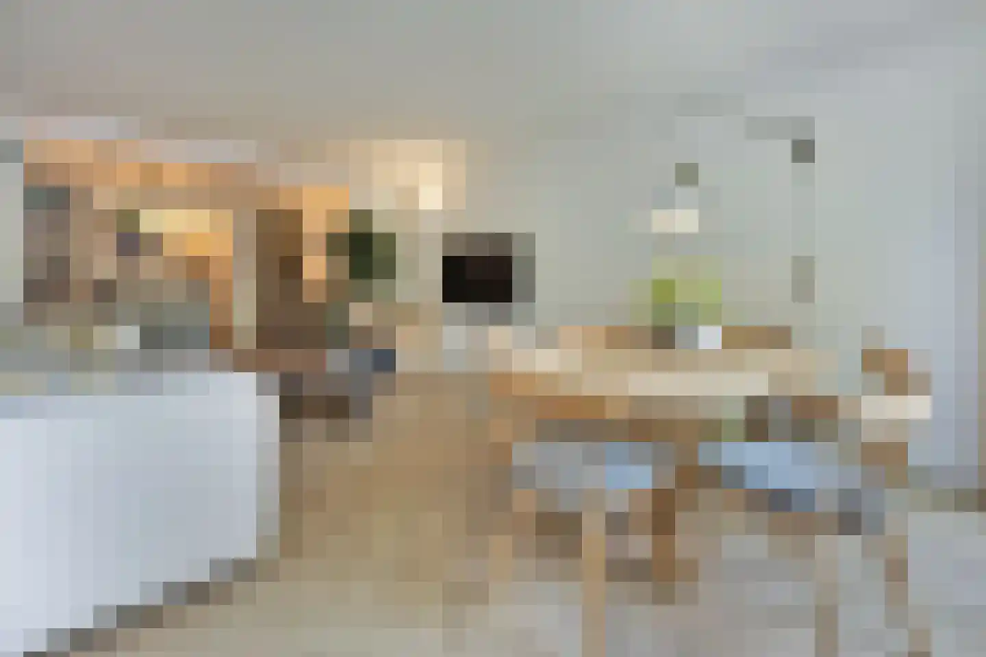 Scherpenheuvelstraat 37 Tilburg thumbnail 4