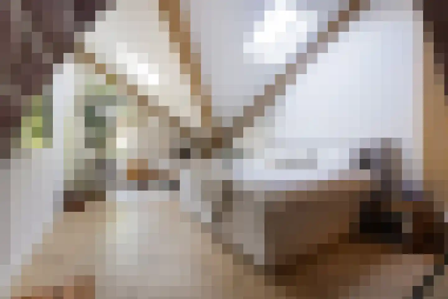 Scherpenheuvelstraat 37 Tilburg thumbnail 6