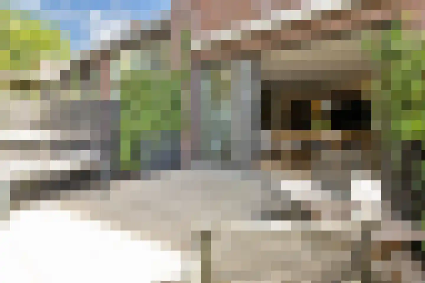 Scherpenheuvelstraat 37 Tilburg thumbnail 65